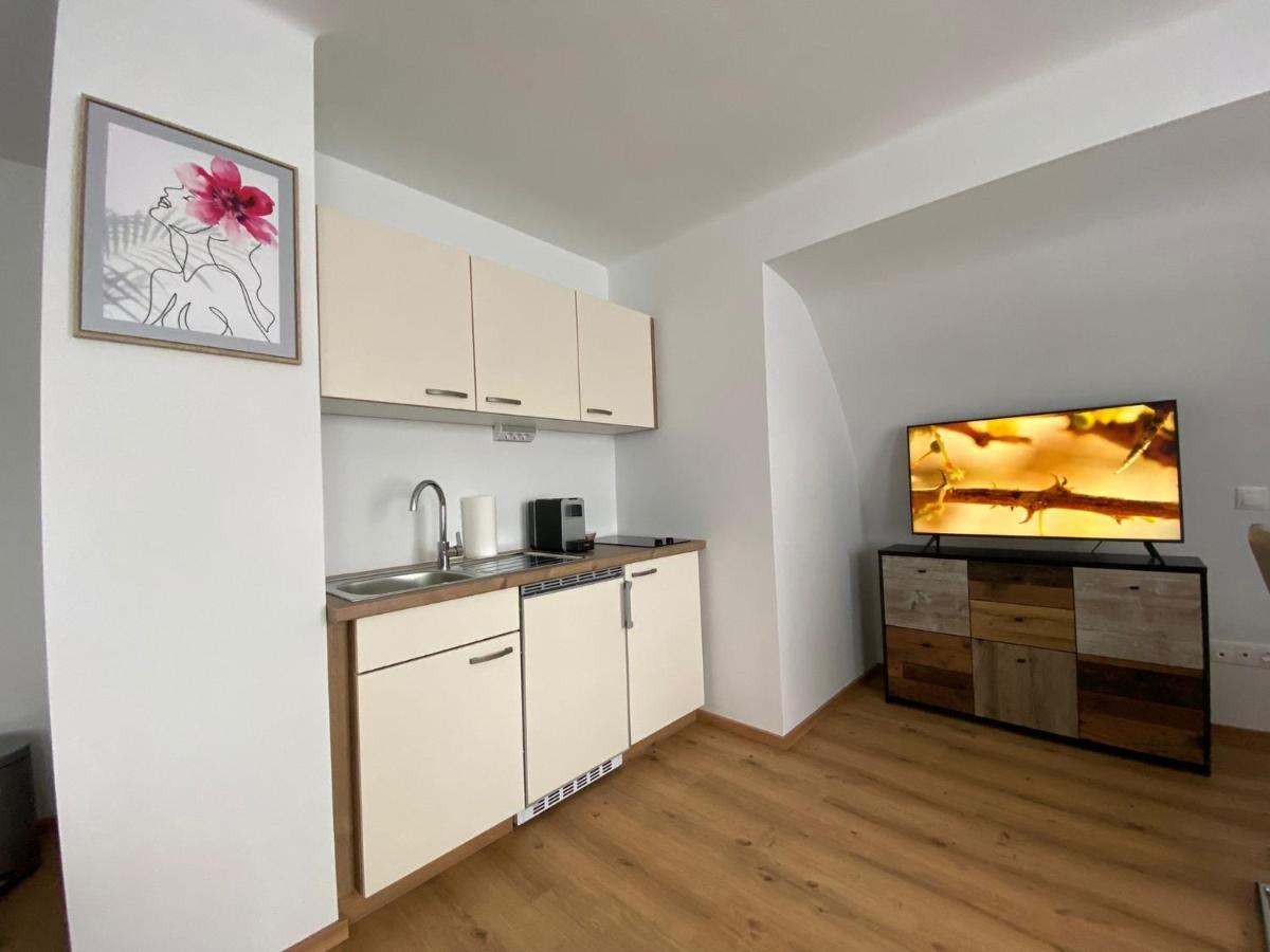 Private Hoap Apartment Leoben (Styria)